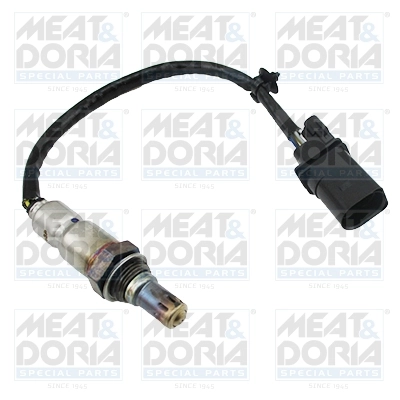 Oxygen Sensor